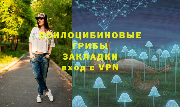 герыч Иннополис