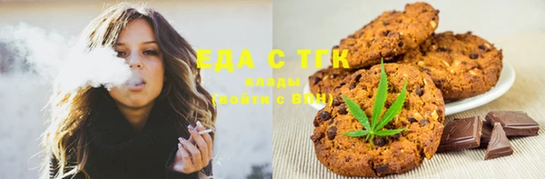 индика Инта