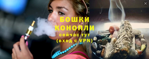 индика Инта