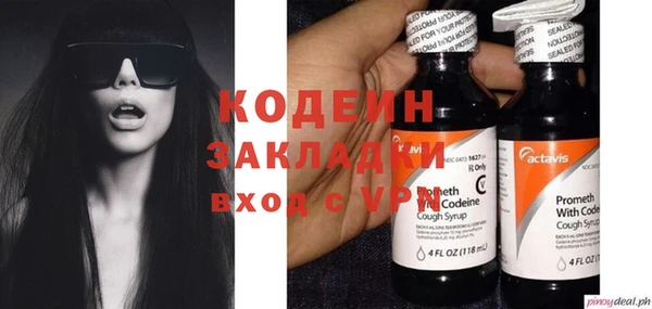 индика Инта