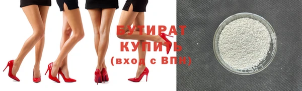 индика Инта