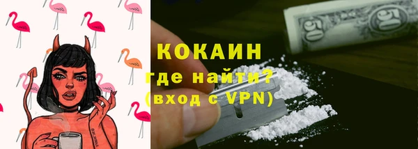индика Инта