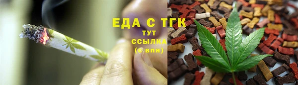 индика Инта