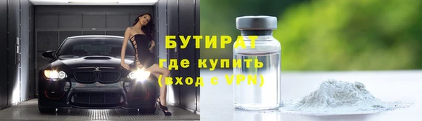 индика Инта