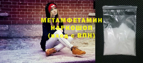 индика Инта