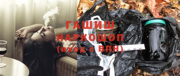 индика Инта