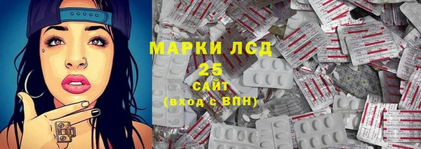 индика Инта