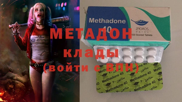 индика Инта