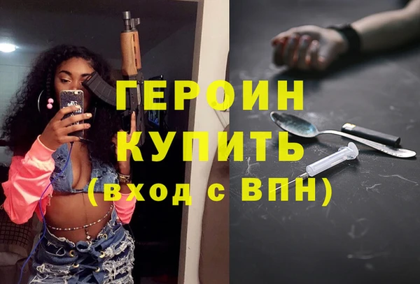 индика Инта