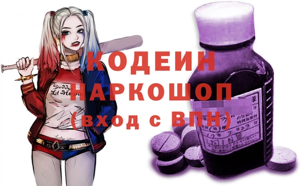 герыч Иннополис