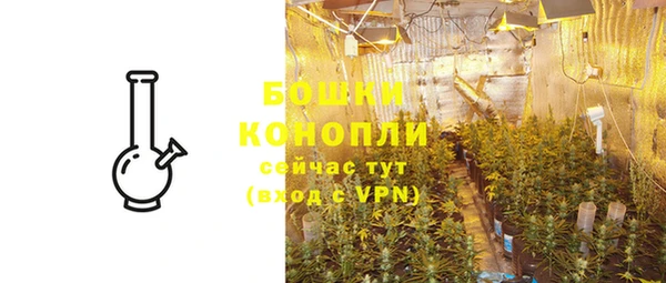 индика Инта