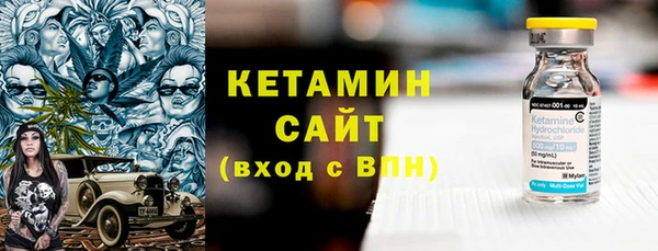 индика Инта