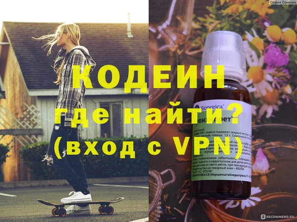 индика Инта