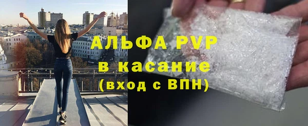 индика Инта