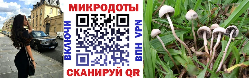 Псилоцибиновые грибы Magic Shrooms Монино