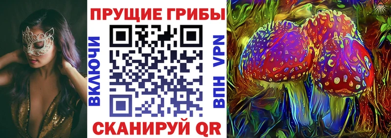 Галлюциногенные грибы Psilocybe  Купить  Монино 